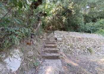 Agricultural land Str. Poggio Radino, Sanremo - photo 28