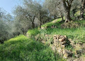 Agricultural land Str. Poggio Radino, Sanremo - photo 34
