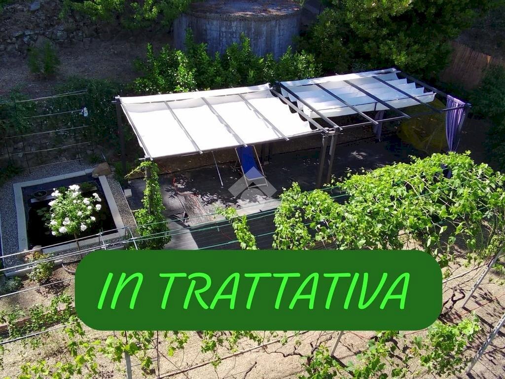 Terreno agricolo Str. Poggio Radino, Sanremo - foto 1