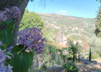 Agricultural land Str. Poggio Radino, Sanremo - photo 22