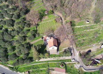 Agricultural land Str. Poggio Radino, Sanremo - photo 35