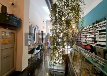 Balcone - Commercial Activity Via Paniscotti
28, Molfetta - photo 4
