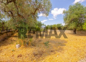 Giardino - Trilocale Strada Detta Delle Monache
 
4, Bari - foto 7