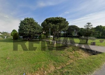 Giardino - Casa semi indipendente Via Cortona
 
3/B, Castiglione del Lago - foto 11