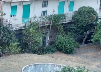 Giardino - Casa indipendente VIA RINA INFERIORE
 
snc, Savoca - foto 3