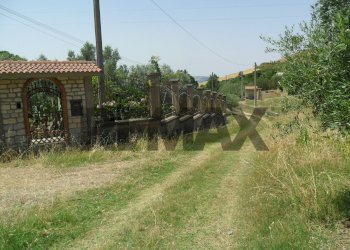 Giardino - Appartamento Contrada Milicia
snc, Santa Caterina Villarmosa - foto 1