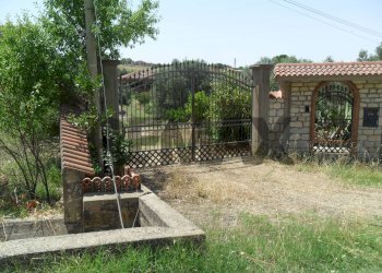 Giardino - Appartamento Contrada Milicia
snc, Santa Caterina Villarmosa - foto 4
