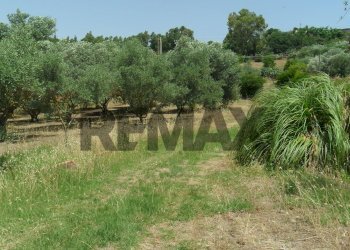 Giardino - Appartamento Contrada Milicia
snc, Santa Caterina Villarmosa - foto 25