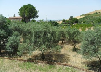 Giardino - Appartamento Contrada Milicia
snc, Santa Caterina Villarmosa - foto 27