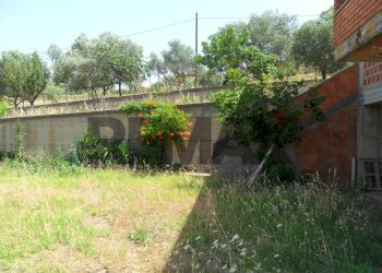 Giardino - Appartamento Contrada Milicia
snc, Santa Caterina Villarmosa - foto 30