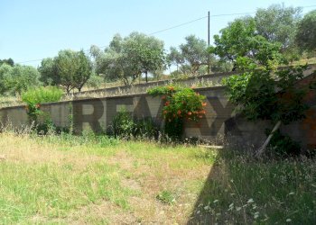 Giardino - Appartamento Contrada Milicia
snc, Santa Caterina Villarmosa - foto 31