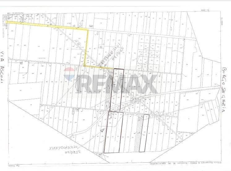 Pianta 2D - Agricultural land Strada Provinciale 105
 
snc, Foggia - floor plans 1