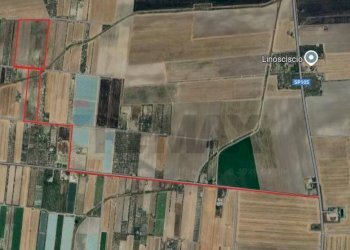mappa - Agricultural land Strada Provinciale 105
 
snc, Foggia - photo 1
