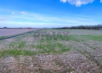 terreno - Agricultural land Strada Provinciale 105
 
snc, Foggia - photo 2
