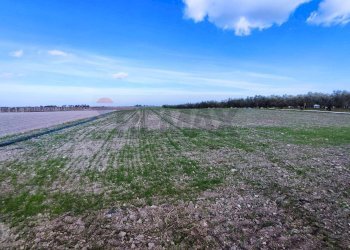 terreno - Agricultural land Strada Provinciale 105
 
snc, Foggia - photo 3