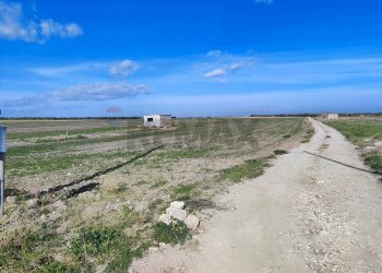 terreno - Agricultural land Strada Provinciale 105
 
snc, Foggia - photo 4