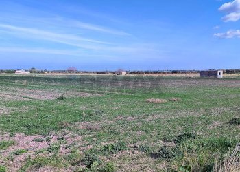 terreno - Agricultural land Strada Provinciale 105
 
snc, Foggia - photo 5