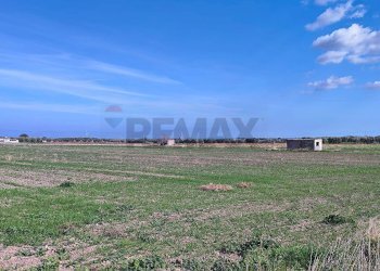 terreno - Agricultural land Strada Provinciale 105
 
snc, Foggia - photo 6