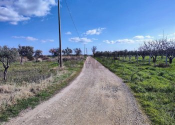 stradina - Agricultural land Strada Provinciale 105
 
snc, Foggia - photo 8