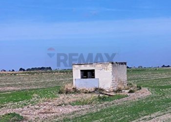 rudere - Agricultural land Strada Provinciale 105
 
snc, Foggia - photo 10