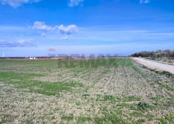 terreno - Agricultural land Strada Provinciale 105
 
snc, Foggia - photo 11