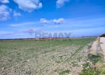 terreno - Agricultural land Strada Provinciale 105
 
snc, Foggia - photo 12