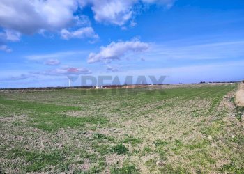 terreno - Agricultural land Strada Provinciale 105
 
snc, Foggia - photo 13