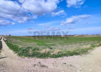terreno - Agricultural land Strada Provinciale 105
 
snc, Foggia - photo 14