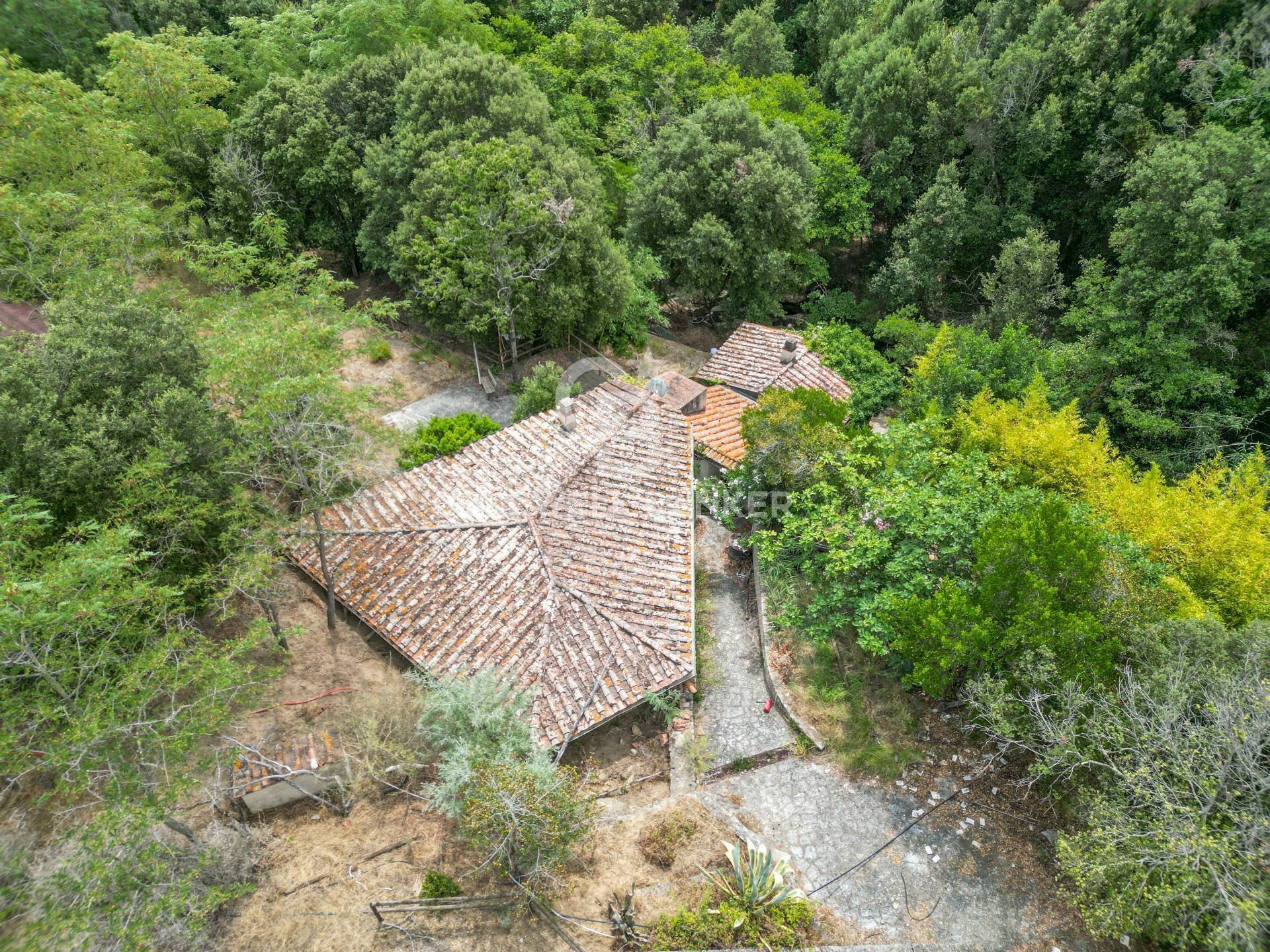 Foto 2 - Rustic Via dell'Accolta, Campo nell'Elba - photo 2