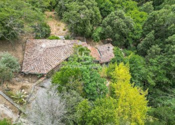 Foto 15 - Rustico Via dell'Accolta, Campo nell'Elba - foto 15