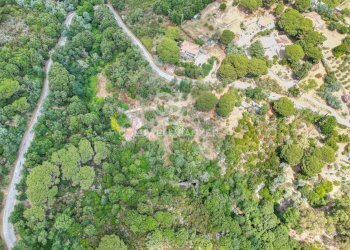 Foto 19 - Rustico Via dell'Accolta, Campo nell'Elba - foto 19