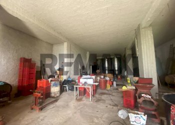 Non correlato - Terreno edificabile Via Marta
2, Montelepre - foto 18