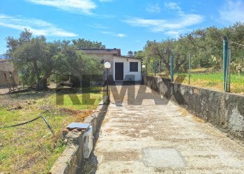 Giardino - Casa indipendente VIA CONTRADA SCORCIAVACCHE
 
SNC, Campofiorito - foto 4