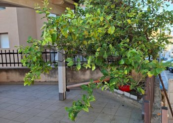 Terrazza - Four-room apartment Via Carmelo Burrafato
 
15, Ragusa - photo 24