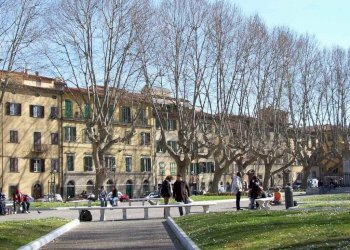 Foto 8 - Office Piazza Santa Caterina, Pisa - photo 7