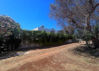 Giardino - Villa Contrada Pupo
 
snc, San Vito dei Normanni - photo 29