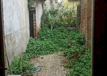 Giardino - Commercial Premises VIA MARCONI
112, Campobasso - photo 19