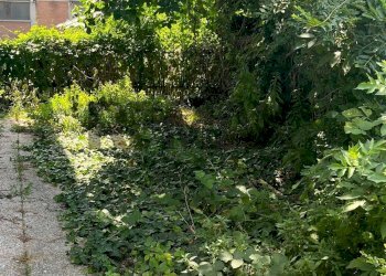 Giardino - Trilocale Via Francesco Stellini
6, Nogara - foto 8