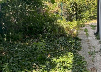 Giardino - Trilocale Via Francesco Stellini
6, Nogara - foto 9