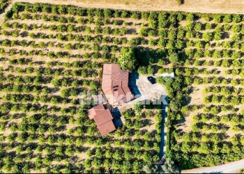 Foto 4 - Villa Via Bella Pettinata, Avola - foto 4