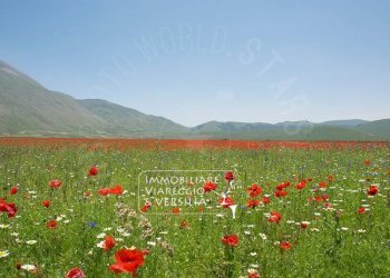 Foto 1 - Agricultural land via della Migliarina, Viareggio - photo 1