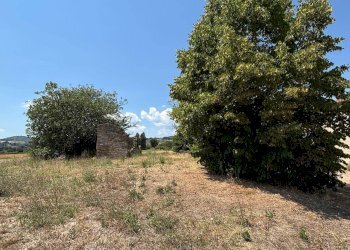 Foto 20 - Rustico Via della Pallotta, Fratta Todina - foto 20