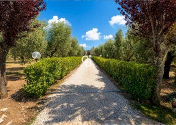 Foto 36 - Villa Strada Cassia Sud
 
121/B, Viterbo - photo 36