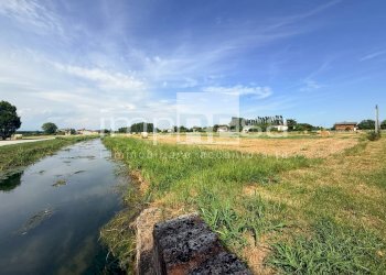 Foto 3 - Terreno agricolo via Roma, San Biagio di Callalta - foto 3