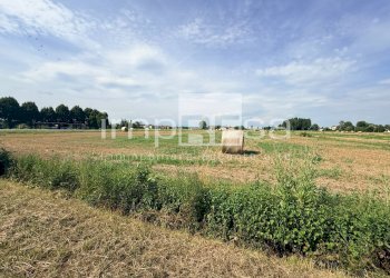 Foto 4 - Terreno agricolo via Roma, San Biagio di Callalta - foto 4