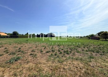 Foto 5 - Terreno agricolo via Roma, San Biagio di Callalta - foto 5