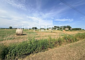 Foto 7 - Terreno agricolo via Roma, San Biagio di Callalta - foto 7