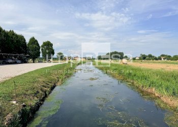 Foto 9 - Terreno agricolo via Roma, San Biagio di Callalta - foto 9