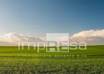 Foto 10 - Terreno agricolo via Roma, San Biagio di Callalta - foto 10