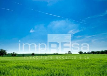 Foto 11 - Terreno agricolo via Roma, San Biagio di Callalta - foto 11